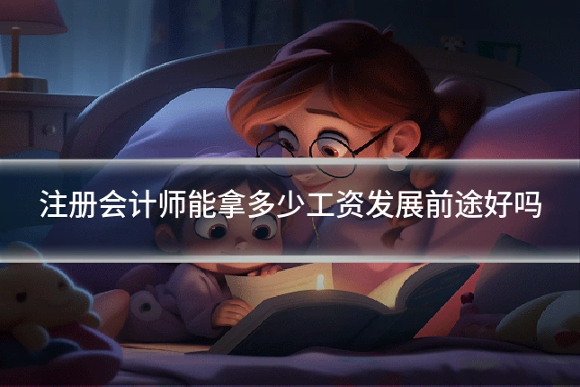 注册会计师能拿多少工资发展前途好吗