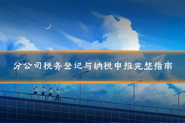 分公司税务登记与纳税申报完整指南