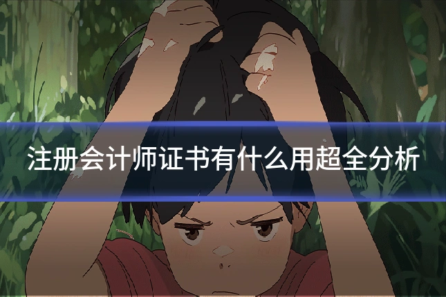 注册会计师证书有什么用超全分析