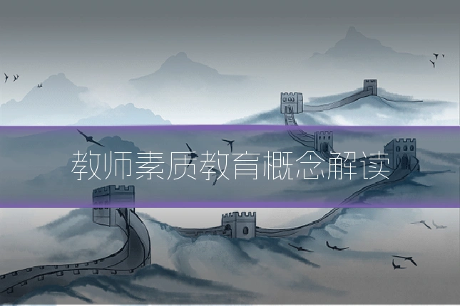 教师素质教育概念解读