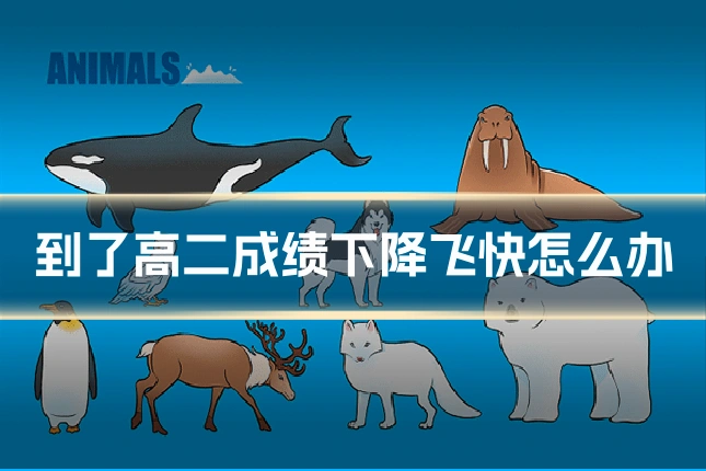 到了高二成绩下降飞快怎么办
