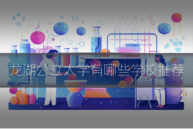 龙湖公立大学有哪些学校推荐