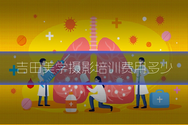 吉田美学摄影培训费用多少