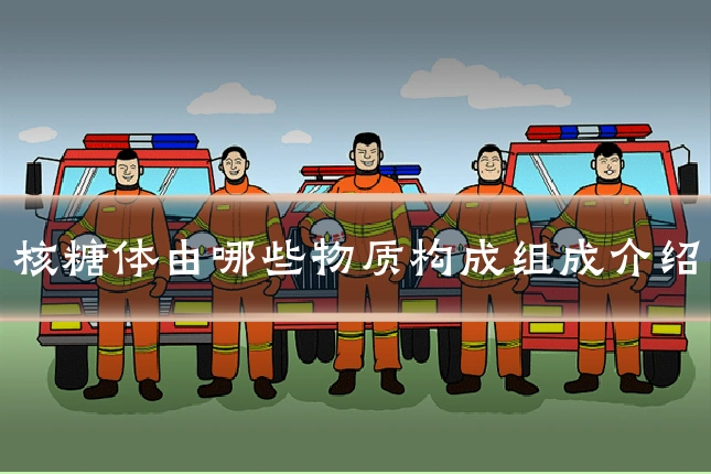 核糖体由哪些物质构成组成介绍