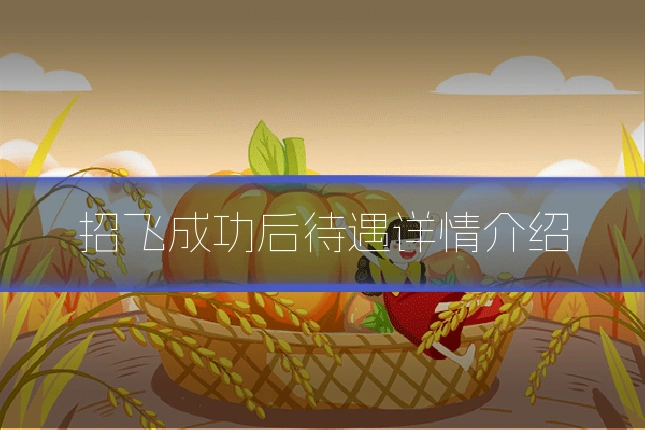 招飞成功后待遇详情介绍