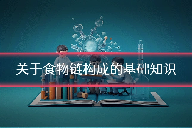 关于食物链构成的基础知识