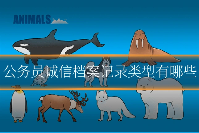 公务员诚信档案记录类型有哪些