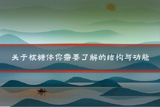 关于核糖体你需要了解的结构与功能