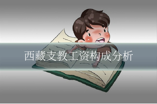 西藏支教工资构成分析