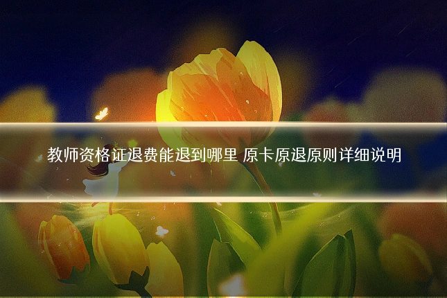 教师资格证退费能退到哪里 原卡原退原则详细说明