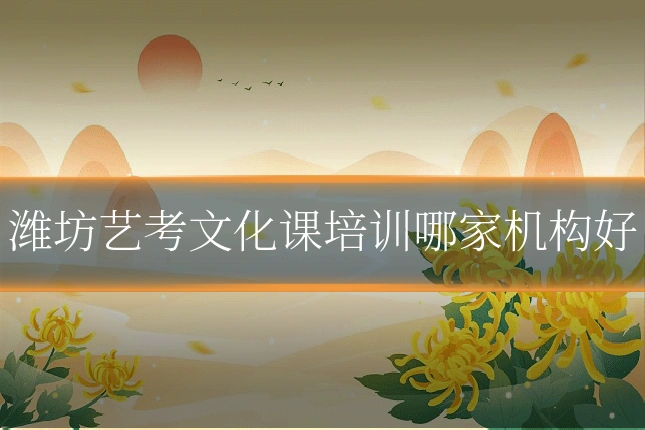 潍坊艺考文化课培训哪家机构好