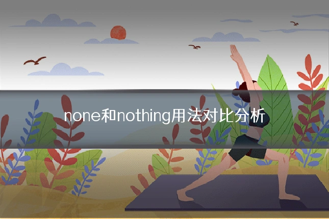 none和nothing用法对比分析