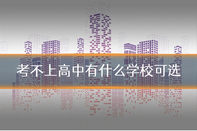 考不上高中有什么学校可选