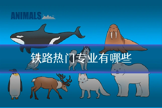 铁路热门专业有哪些