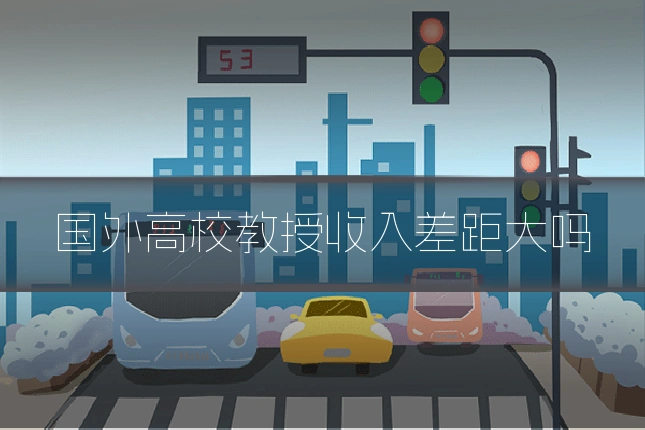 国外高校教授收入差距大吗