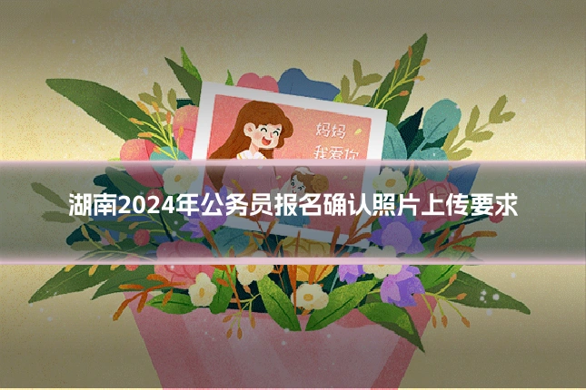 湖南2024年公务员报名确认照片上传要求