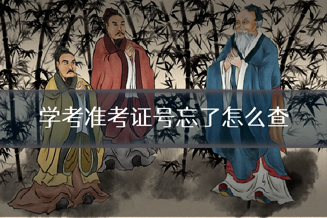 学考准考证号忘了怎么查