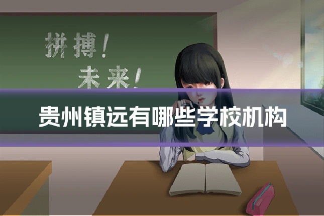 贵州镇远有哪些学校机构