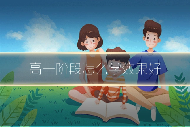 高一阶段怎么学效果好
