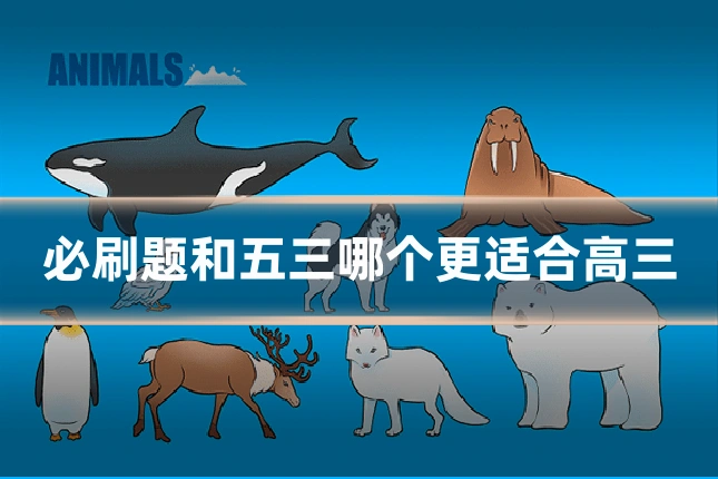 必刷题和五三哪个更适合高三