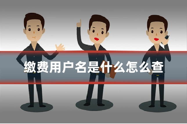 缴费用户名是什么怎么查