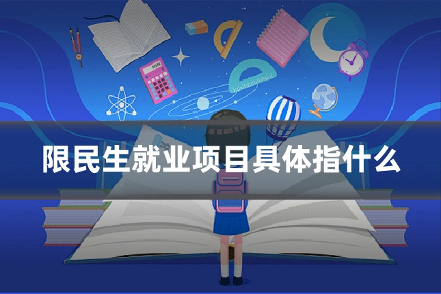 限民生就业项目具体指什么