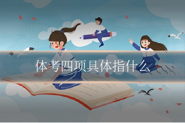 体考四项具体指什么