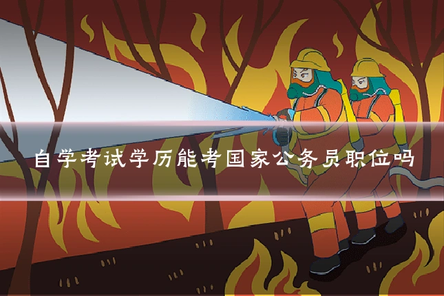 自学考试学历能考国家公务员职位吗