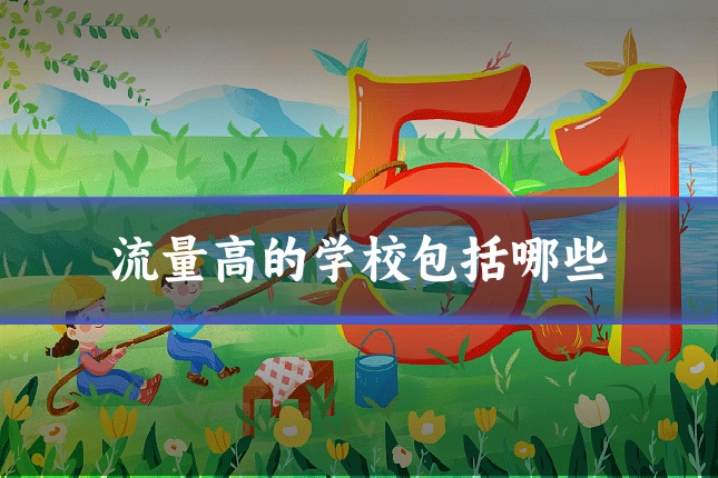 流量高的学校包括哪些