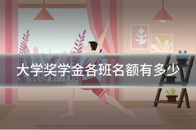 大学奖学金各班名额有多少