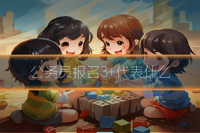 公务员报名3+代表什么