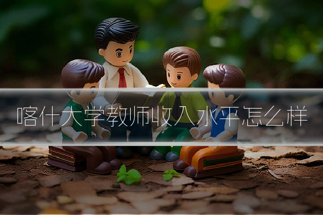 喀什大学教师收入水平怎么样