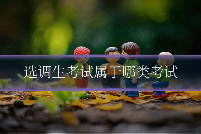 选调生考试属于哪类考试