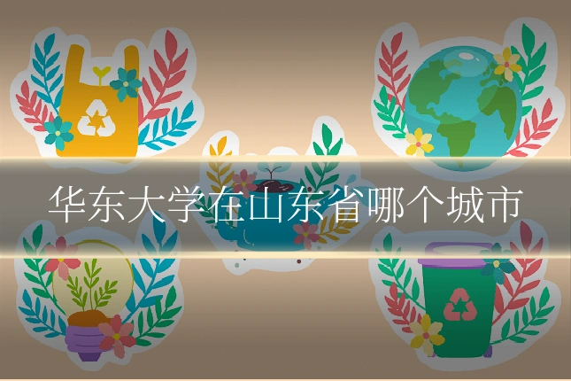 华东大学在山东省哪个城市
