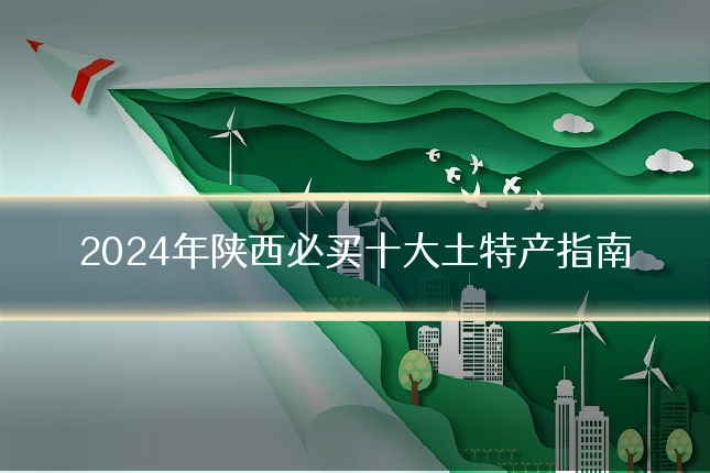 2024年陕西必买十大土特产指南
