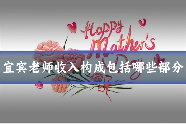 宜宾老师收入构成包括哪些部分