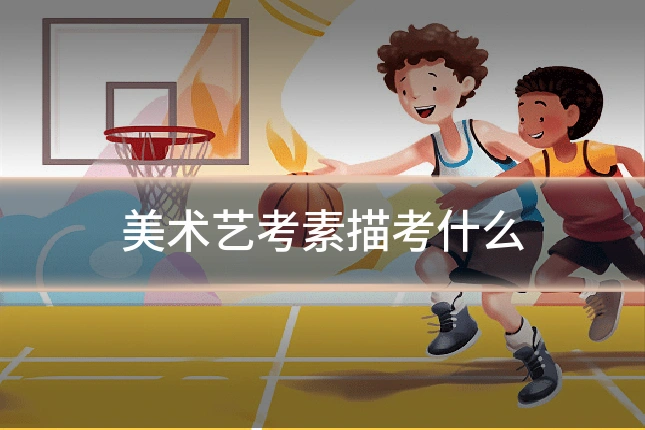 美术艺考素描考什么