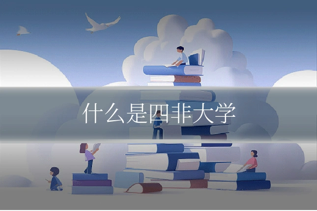 什么是四非大学