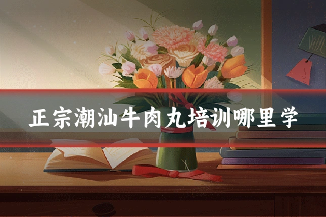 正宗潮汕牛肉丸培训哪里学