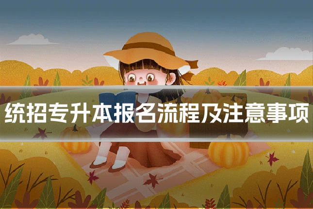 统招专升本报名流程及注意事项