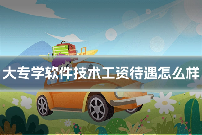 大专学软件技术工资待遇怎么样