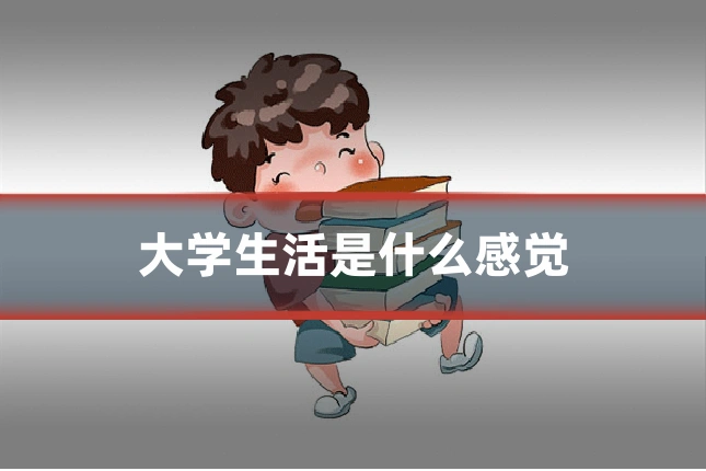 大学生活是什么感觉