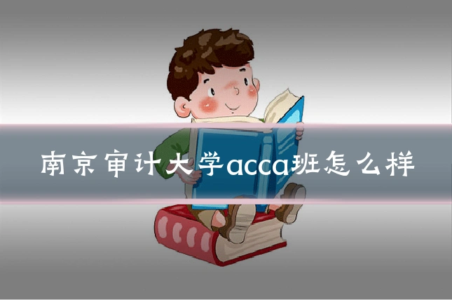 南京审计大学acca班怎么样