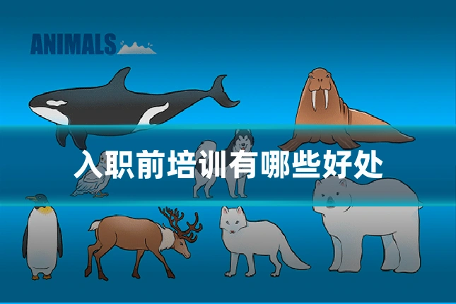 入职前培训有哪些好处