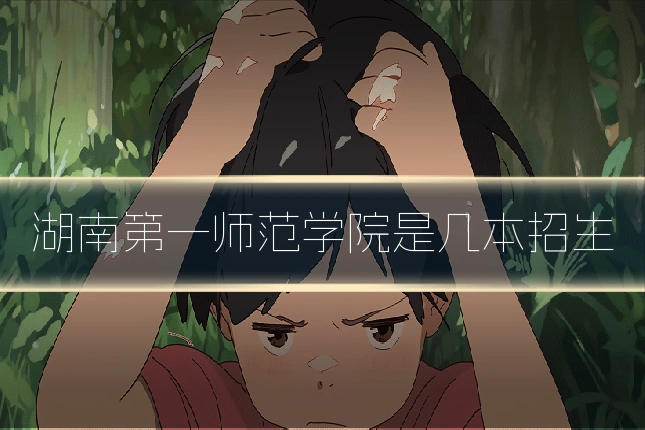 湖南第一师范学院是几本招生