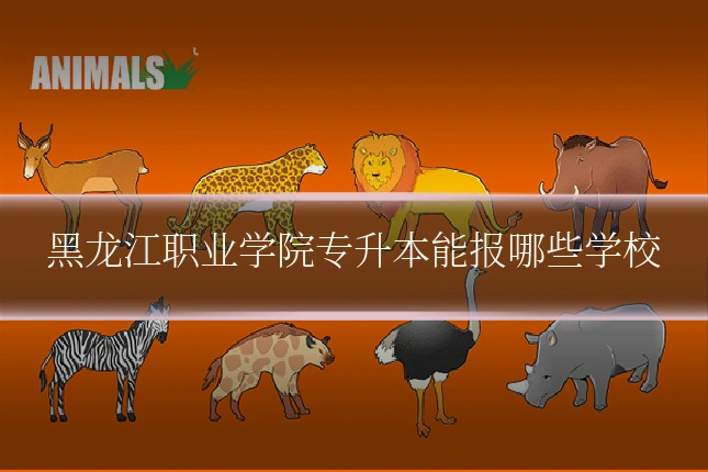 黑龙江职业学院专升本能报哪些学校