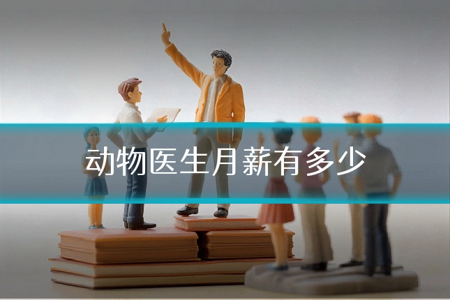 动物医生月薪有多少