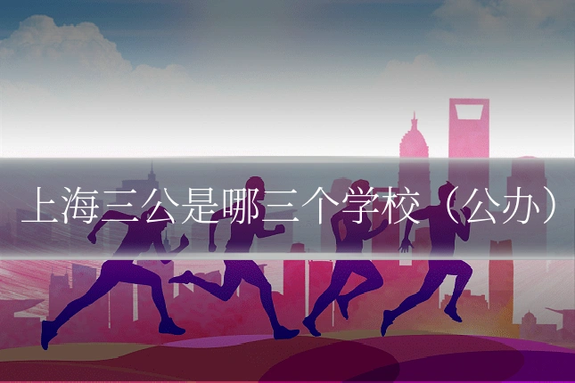 上海三公是哪三个学校(公办)