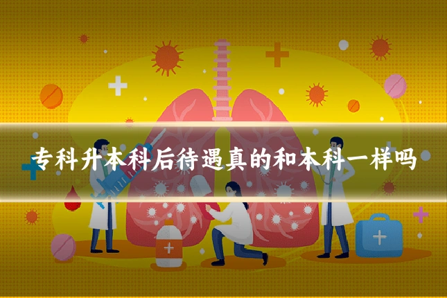 专科升本科后待遇真的和本科一样吗