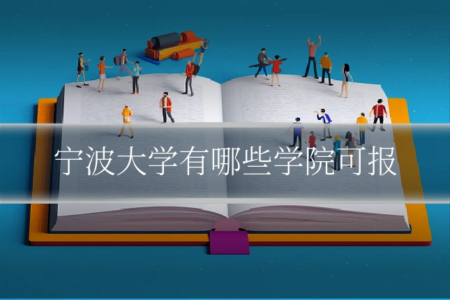 宁波大学有哪些学院可报
